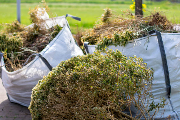 Best Commercial Junk Removal  in Carson City, NV